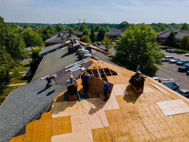 Best Roof Gutter Cleaning  in Athena, OR