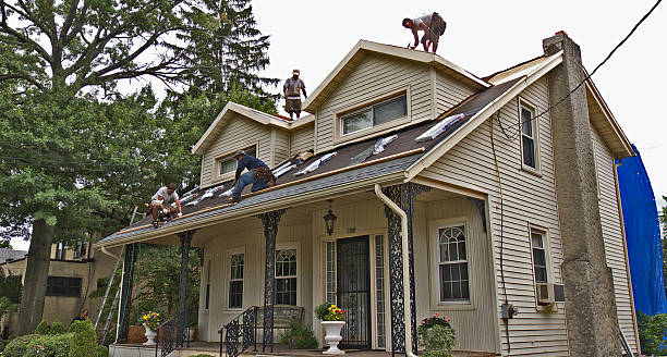 Roof Gutter Cleaning in Athena, OR